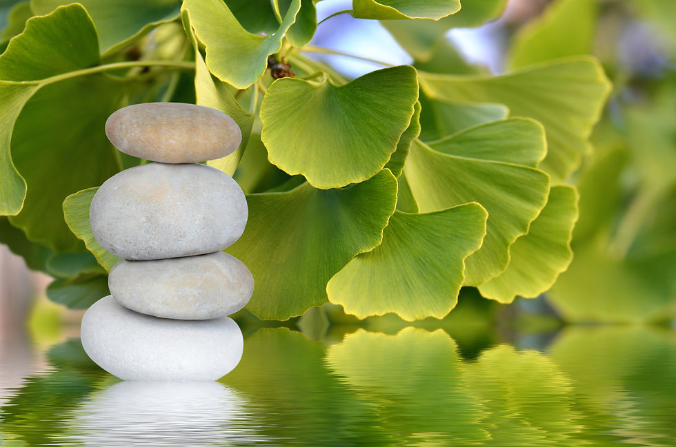 Stacked stones & gingko