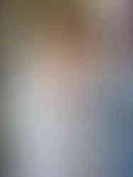 Wildflowers embroidered onto bow of bride's dress. Bride faces away from the camera whilst Mother adjusts the bow. Bow features small embroidered flowers.