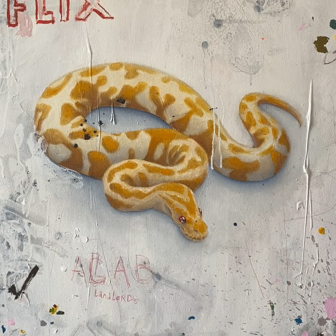 snake.gif