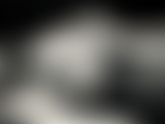 An Amazon tree boa gracefully coils around a branch, showcasing its textured scales under the dappled light of the enclosure.