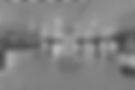 1E7A0203_edited.jpg