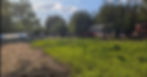 cover crops