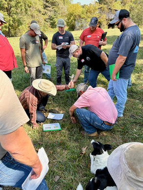 Building Land and Community Resilience in Ohio with Holistic Planned Grazing