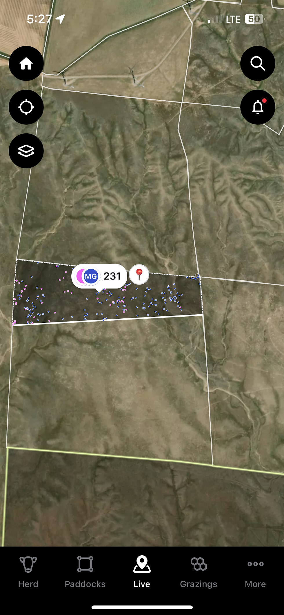 image of Halter app interface
