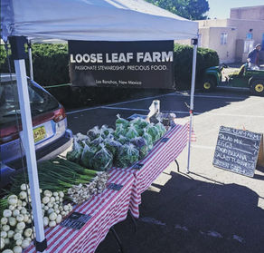 Loose Leaf Farm--Passionate Stewardship and Precious Food