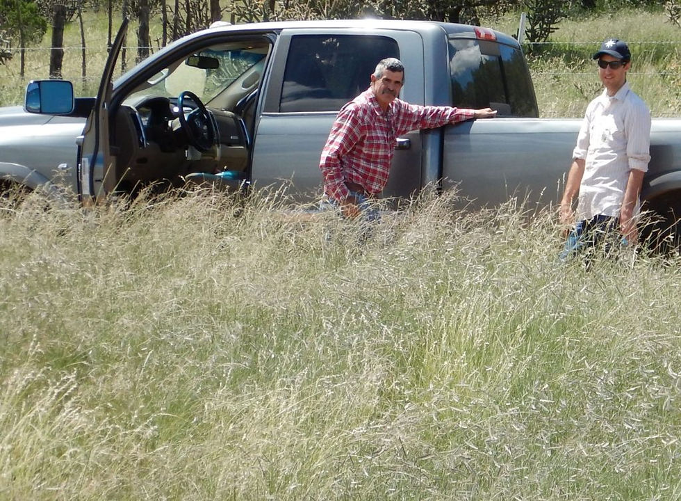 two men by pickup truck in field of grass