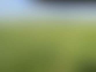 Holistic Regeneration and Succession in Nebraska