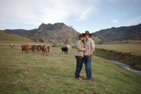 Regenerating California Rangeland through Custom Grazing