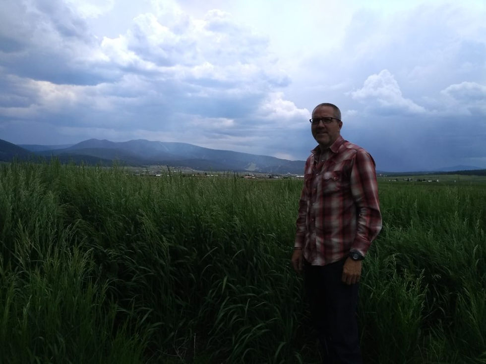 Man standing in green field
