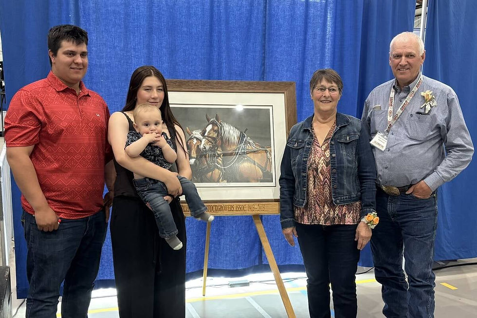 2 men and 2 women and a baby in front of horse picture