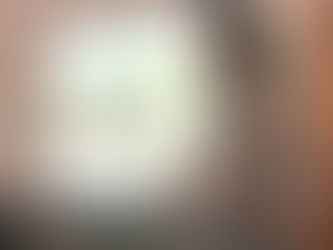 Ann Phillips presenting at OEFFA workshop