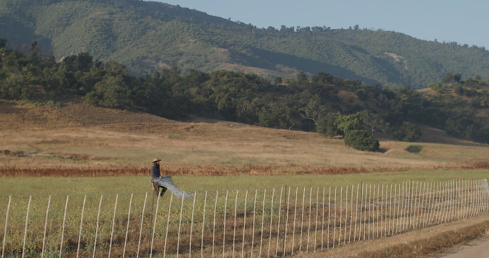 man moving electric fence