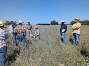 Texas Grazing and Land Planning Workshop for Land Stewards