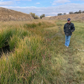 Managing for Resiliency & Biodiversity on the Carrizo Ranch