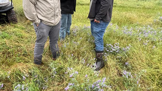 Profit on Purpose: Lessons from Leo Ranch in Texas
