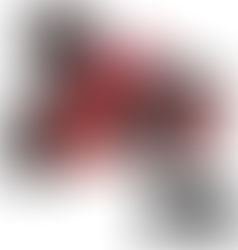 50% OFF🔥🔥MSLAN 遥控车