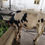 Thumbnail: Female calves sale in virudhunagar