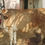 Thumbnail: Cow sale in kunnam