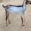 Thumbnail: Goat Sale in Senjerimalai