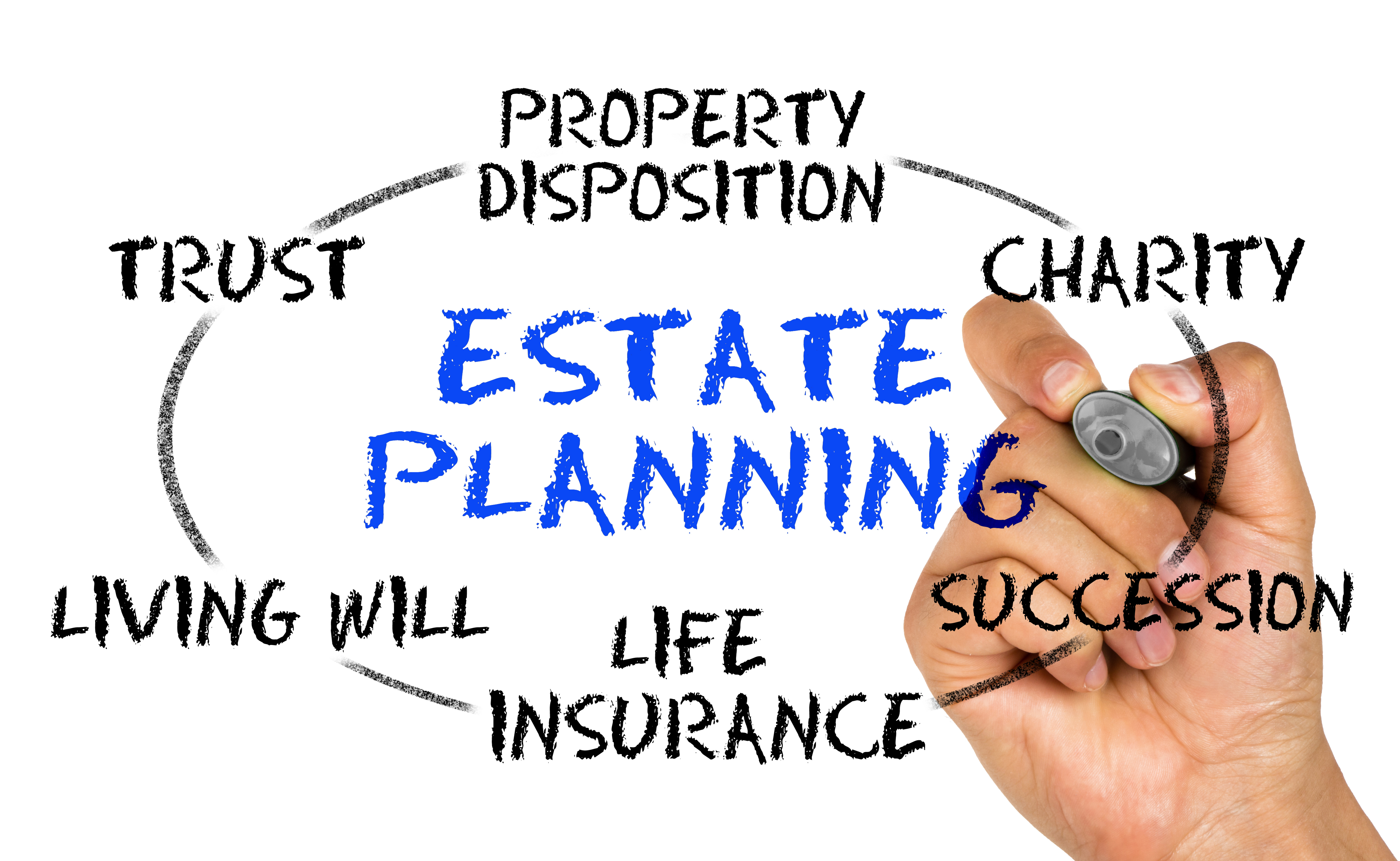 Estate and Legacy Planning 