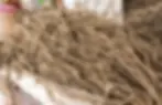 Kava
