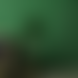 Découvrez les tendances couleurs 2025 en décoration d’intérieur :