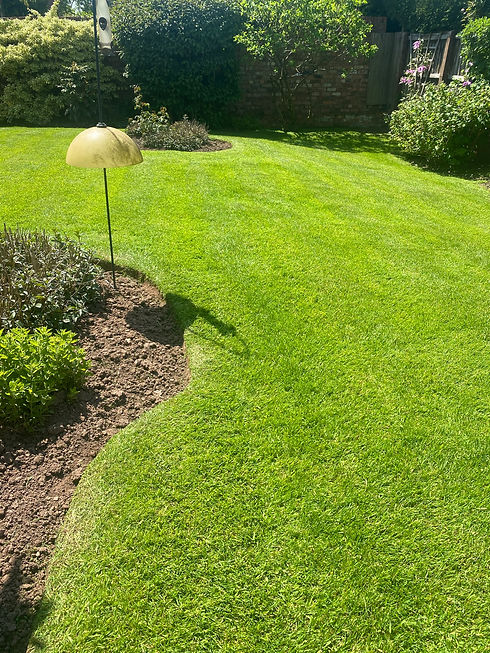 Lush green lawn