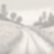 fine line dirt road scene.jpg