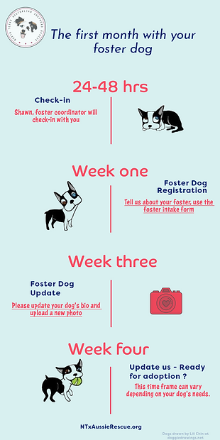 First month with your foster