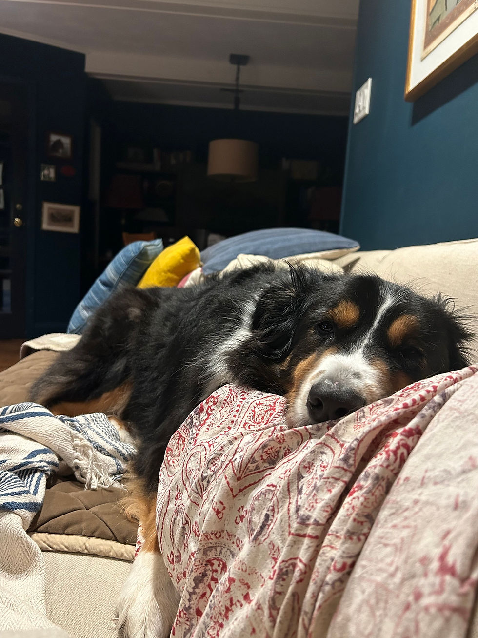 Thumbnail: Remington
