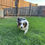 Thumbnail: Brandy