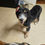 Thumbnail: Bojangles