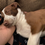 Thumbnail: Charlene Mae