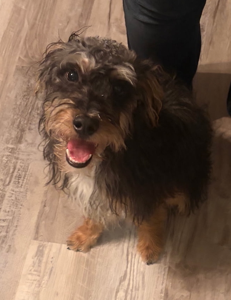 Gus