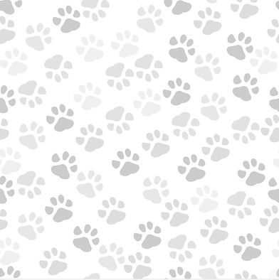 pawsBG_edited.jpg
