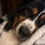 Thumbnail: Remington