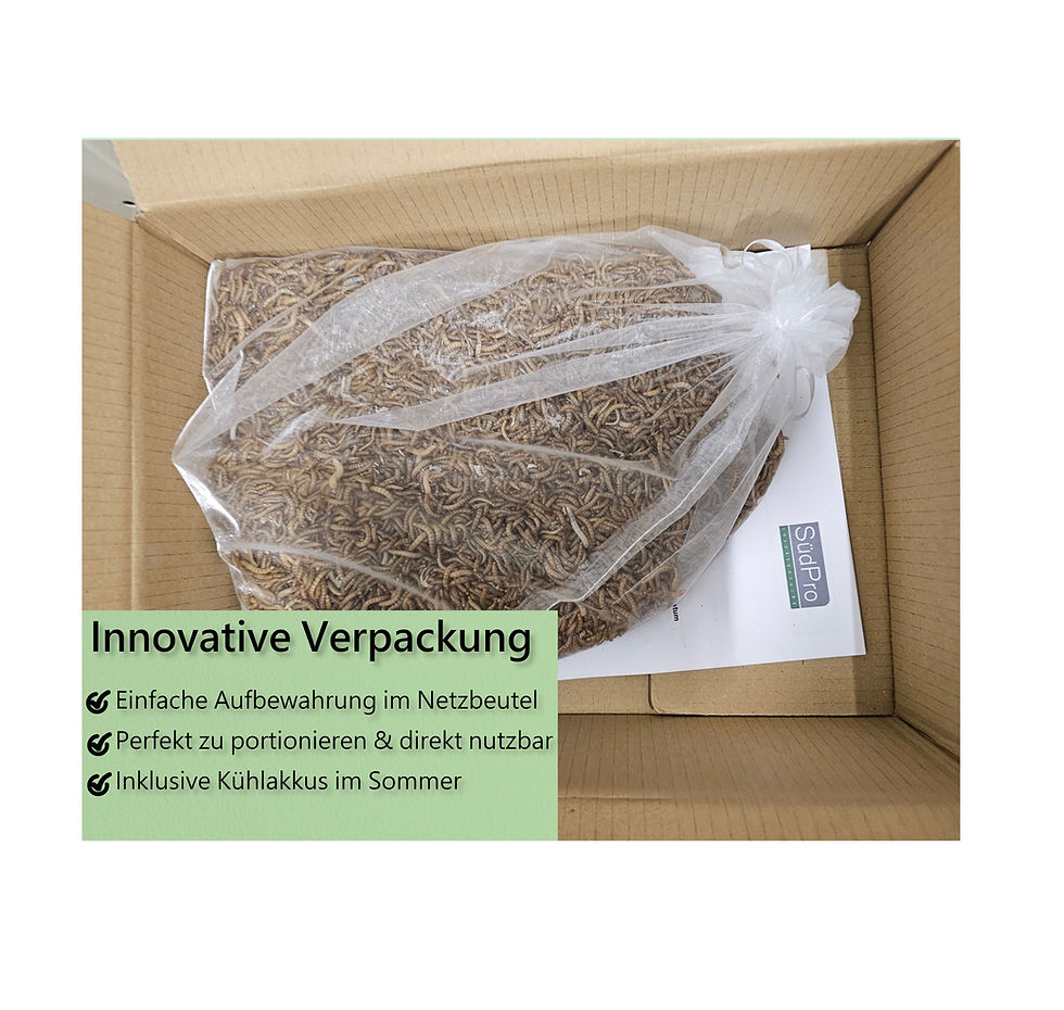 Miniaturbild: 1 kg lebende + 10 L getrocknete Mehlwürmer  für Reptilien Vögel Fische – SüdPro
