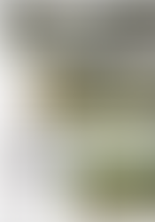 Curitiba possui museu de referência para pesquisa zoológica