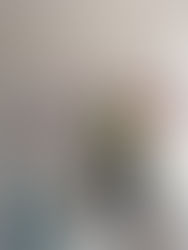 Revista F: Artesão cria ateliê em casa para expor sua arte