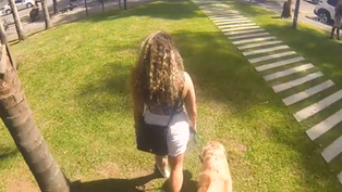 Mulheres são maioria na tutoria de animais, aponta documentário