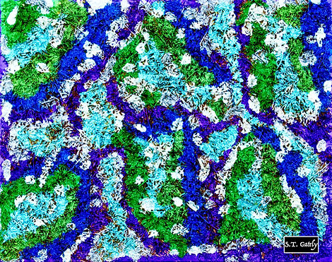 18500197-A240-4689-BEBA-3B7DE37DB5A9_1_201_a.jpeg