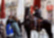Boy pets Police Horse
