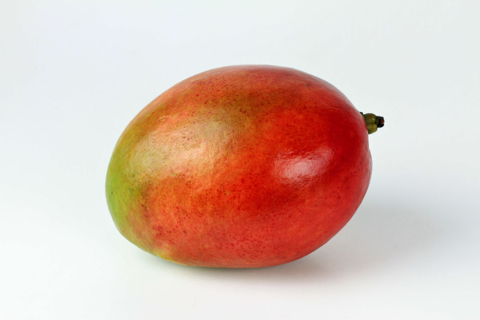 ripe mango on white