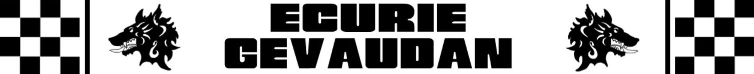 BANDEAU BLANC 80s. long.jpg