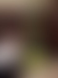 скоро состоится конкурс "Вместо ёлочки праздничный букет"