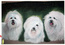 Fluffy Acres Cotons 2020 Logo-BOE.png