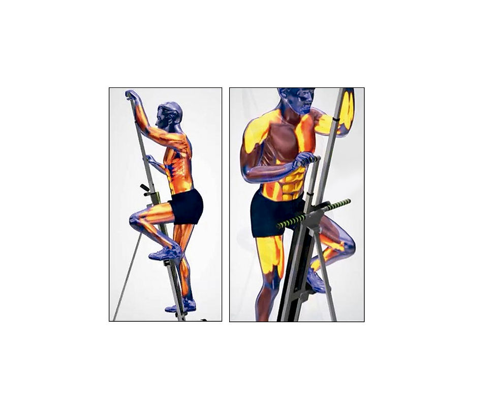 Miniatura: VERTICAL GYM