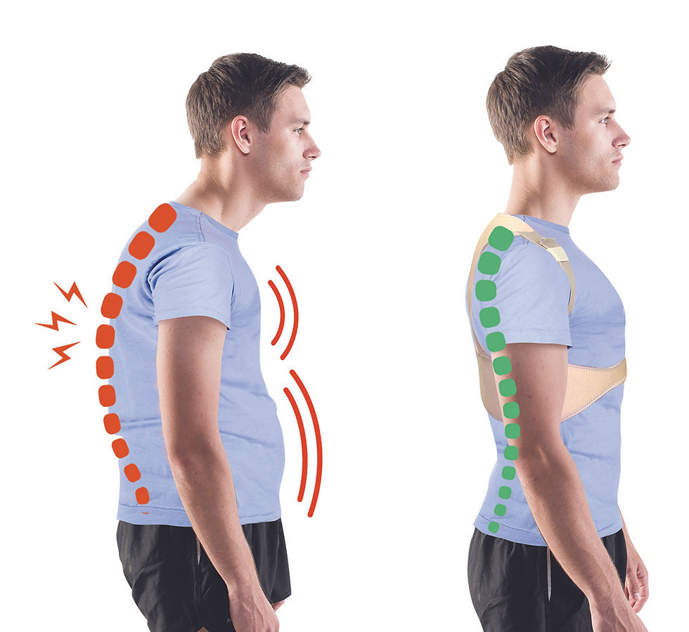 Miniatura: COMFORTISSE POSTURE
