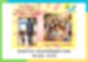 Social Care: 50 Assorted Display Cards