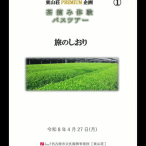 茶摘体験in西尾